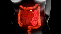 Бактерии в подарок: как совместная жизнь сближает микрофлору кишечника людей
