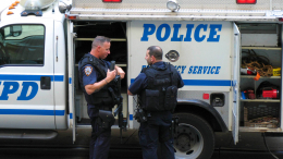 Ничего, кроме маски: мужчина в течение месяца совершал кражи в обнаженном виде