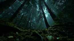 Виноваты в пропаже Усольцевых? «Банда егерей» в сибирской тайге похищает людей