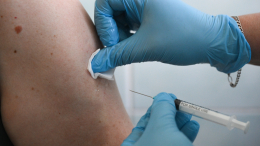 В России изобрели вакцину от лихорадки Денге