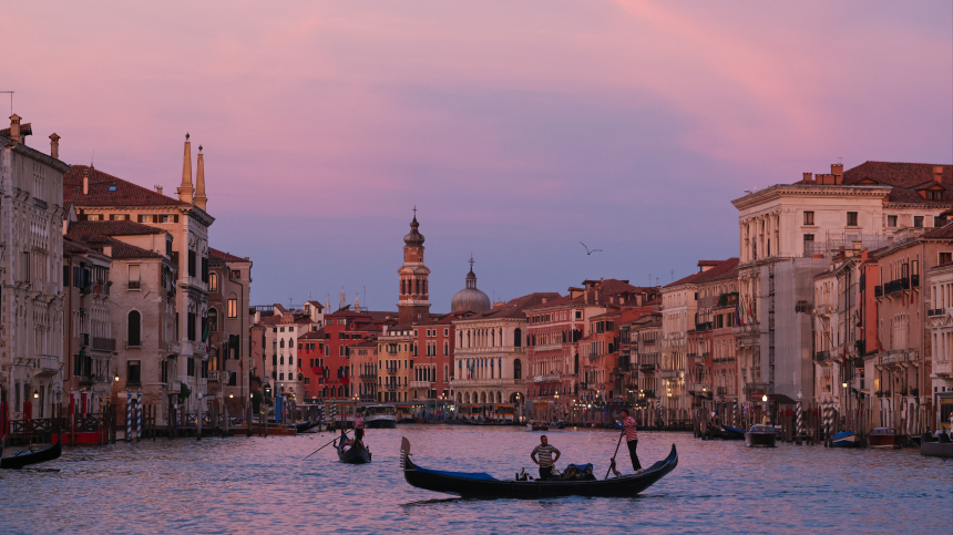 Гигантское мертвое существо парализовало движение по каналам Венеции