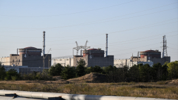Стала известна причина блэкаута на Запорожской АЭС