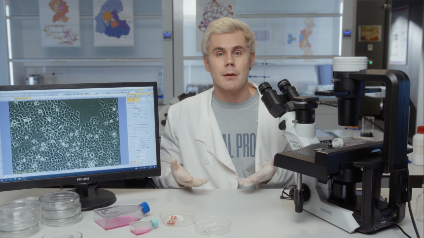 Опухоль вне тела: блогер Ян Топлес объяснил, как ведут себя раковые клетки