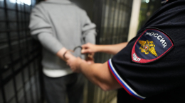 Напавшего на полицейских в Оренбуржье мужчину заключили под стражу