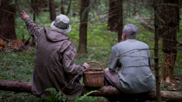 Компасом не обойтись: россиянам рассказали, как не заблудиться в лесу