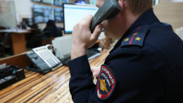 Гибель актера и его жены в Подмосковье: что известно