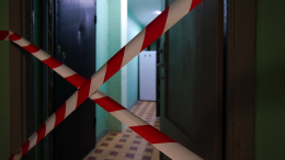 «Леденящий душу крик!» — соседка о ссоре актера и его жены, убивших друг друга в Мытищах