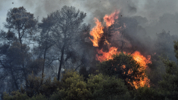 Огненная ловушка: в Финляндии полностью сгорел необитаемый остров