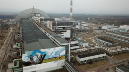 «Ловим таких животных»: есть ли мутанты в Чернобыльской зоне отчуждения