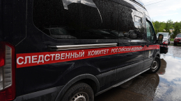 В Петербурге задержали пьяную компанию после падения женщины из окна