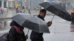 Снег, заморозки и потепление: какая погода ждет Москву на этой неделе