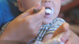 В детском питании Hipp обнаружили крысиный яд, продукцию снимают с продажи в Европе и России