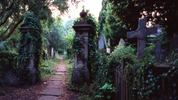 Останки 50 младенцев и шести взрослых нашли на территории кладбища