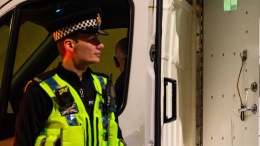 Свою вину отрицает: 12-летний подросток изнасиловал 60-летнюю женщину