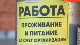 Ищите работу? Как не попасть в трудовое рабство и на какие вакансии не стоит откликаться