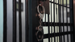 Замгендиректора парка «Патриот» задержали по делу о взятке в 18 млн рублей