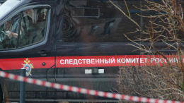 Изрезанное тело новорожденной девочки обнаружили в Подмосковье