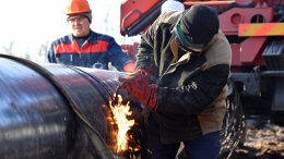 Украина может возобновить поставки по «Дружбе» через несколько часов