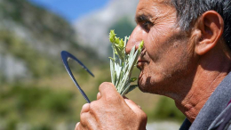 Аромат детства: почему человека тянет к запахам бензина и маркеров