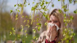 Воронеж, Самара, Челябинск, Омск и Москва: аллергикам приготовиться