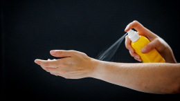 Защитить себя и питомца: биофизик о том, как выбрать препараты от клещей