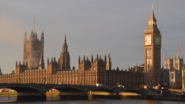 «Дикая фантазия»: порноактрисы поддержали скандальную кампанию депутата