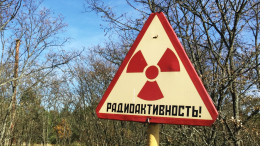 Зона отчуждения: каким будет Чернобыль в 2126 году и можно ли там будет жить