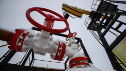 «Продолжаем поставки»: как Россия вносит вклад в борьбу с топливным кризисом