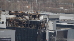 Управляющая фигурирующим по делу «Крокуса» хостелом получила три года колонии