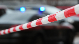 В Самаре упавшее дерево убило девочку-подростка