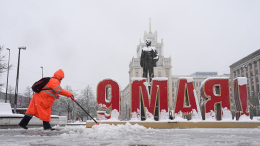 Взгляд из космоса: спутники запечатлели снежный циклон над Москвой