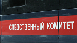 В Подмосковье семилетний ребенок утонул после падения в реку