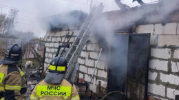 В Нижнем Новгороде при пожаре погибли 200 собак