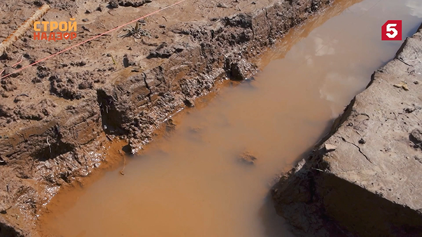 Шестнадцатый выпуск