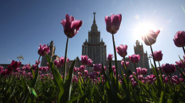 Мэр Москвы поздравил жителей столицы с Праздником Весны и Труда