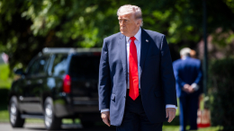 Еле отбился: «злая» пчела с пасеки Белого дома атаковала Трампа