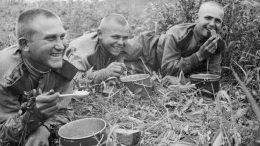 «Кухня Победы»: что готовили на 9 Мая с 1940-х до 1990-х