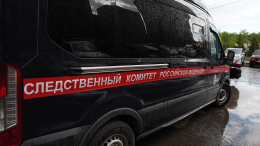 Наняла подростков за 350 тысяч: 14-летняя девочка заказала убийство своей мамы