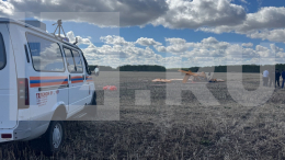 Появились кадры с места крушения самолета в Омской области