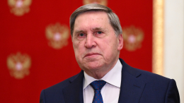 Ушаков назвал иностранных лидеров, которые приедут в Москву на День Победы