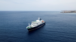 Пять случаев заражения хантавирусом подтвердили на круизном лайнере MV Hondius