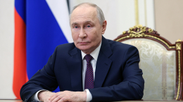 Началось объявленное Путиным в честь празднования 81-летия Победы перемирие