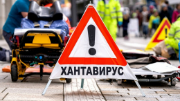 Хантавирус распространяется по всему миру: грозит новая эпидемия?