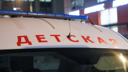Шестерых детей госпитализировали после ДТП под Омском