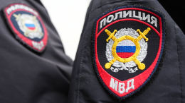 Штрафы со скидкой: МВД предупредило дачников о новой схеме мошенничества