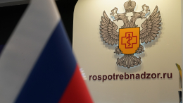 Роспотребнадзор усилил контроль на границе из-за хантавируса