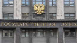 Госдума приняла закон о привлечении армии России для защиты арестованных за рубежом