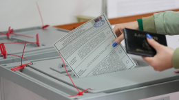 Выборы губернаторов Белгородской и Брянской областей пройдут 20 сентября