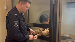 «Я не палач»: подробности покушения на семилетнюю девочку в Подмосковье