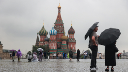 В Москве за несколько часов выпала почти половина месячной нормы осадков